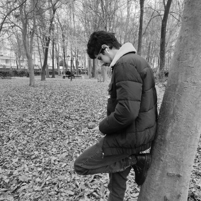 Amir Saneh
